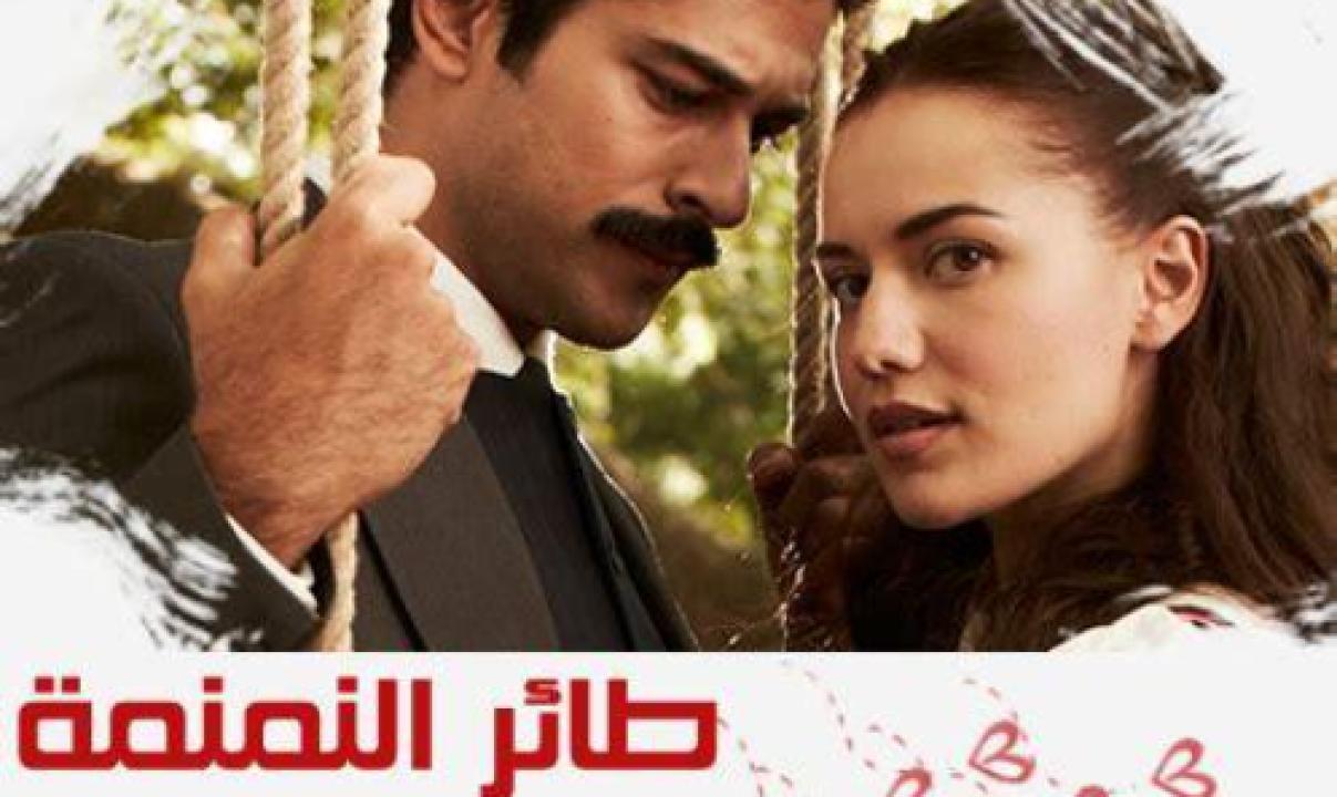مسلسل طائر النمنمة الحلقة 11 مدبلجة